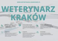 Weterynarz Kraków, przychodnia weterynaryjna Kraków... OGłOSZENIA Bazarok.pl